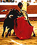 bullfighter